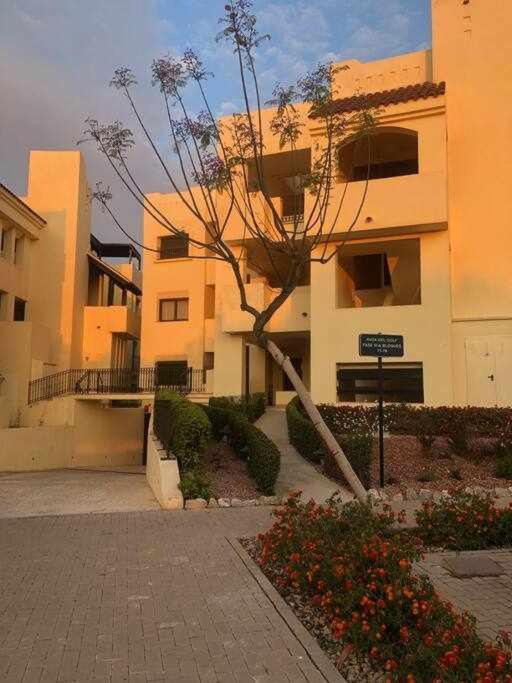 Casa Palmera Сан-Хавьер Экстерьер фото